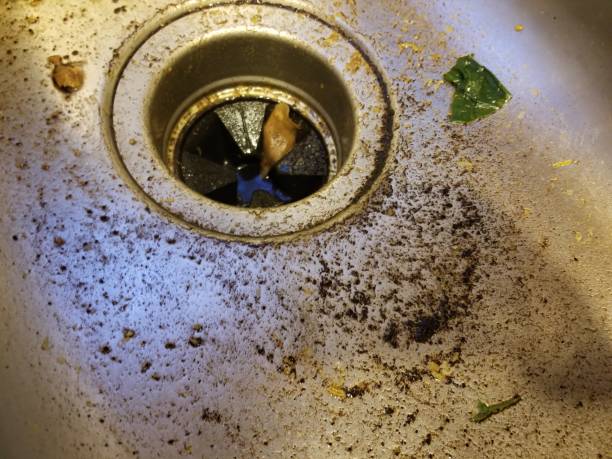 Can You Put Coffee Grounds Down The Sink: Things You Need To Know